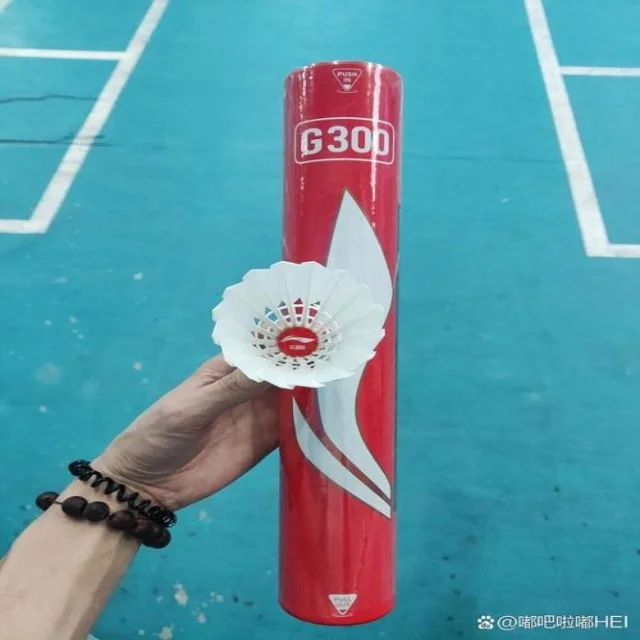 中国队汤尤杯备战全力冲击新目标